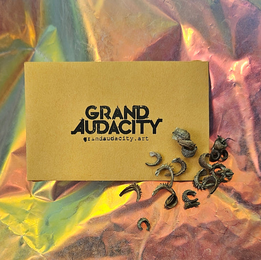 Seeds: Calendula