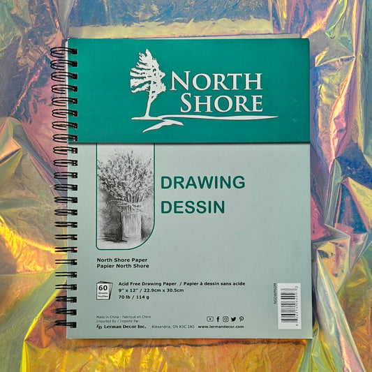 Paper: Sketchbook, 9" x 12"